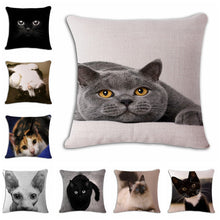 Cat Square Decorative Cotton / Linen Pillowcase 18x18 inches