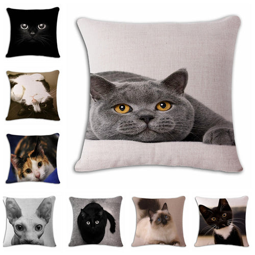 Cat Square Decorative Cotton / Linen Pillowcase 18x18 inches