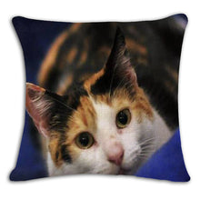 Cat Square Decorative Cotton / Linen Pillowcase 18x18 inches