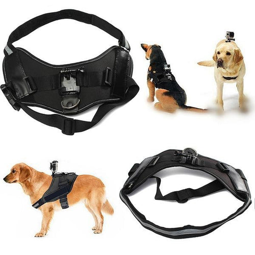 Dog Fetch Chest Harness Strap Belt For GoPro 4 3 2 3 Plus SJ4000