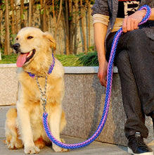 High Quality Color Collar Braided Rope Dog Leashes Pet