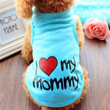 Puppy Dog Spring T-shirt