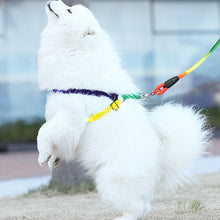 Yani HG-PC2 Pet Dog Colorful Belt Leash Attractive Cool Nylon Collar Adjustable Dog Cat Belt