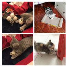 4pcs/pack Ball Cat Ball Toy