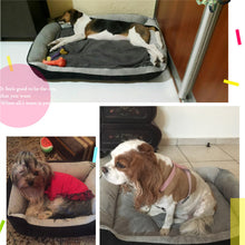 Soft Cotton Pet Bed (6 Sizes)