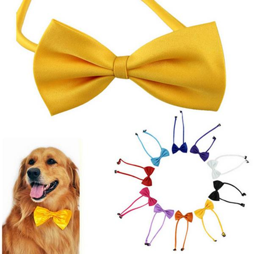Pet Bow Tie