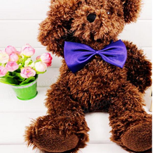 Pet Bow Tie
