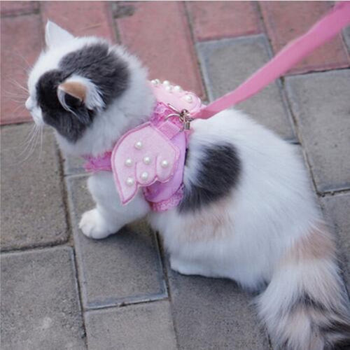 Adorable Comfort Cat Safety Walking Vest Harness + Matching Lead