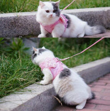 Adorable Comfort Cat Safety Walking Vest Harness + Matching Lead