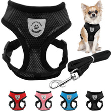 Breathable Mesh Small Dog Pet Harness and Leash Set