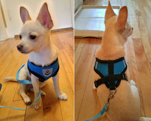 Breathable Mesh Small Dog Pet Harness and Leash Set