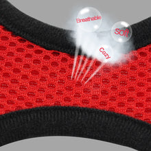 Breathable Mesh Small Dog Pet Harness and Leash Set