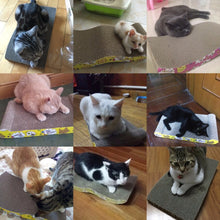 Corrugated Paper Pet Cat Kitten Scratch Scratcher Seize Catch Board Pad Bed Cat Scratch Board Protect Paw
