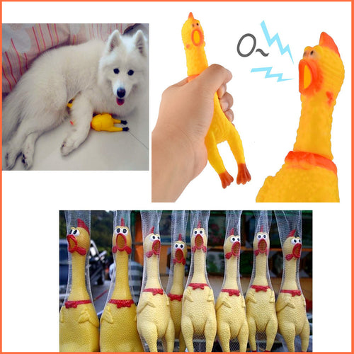 Yellow Shrilling Rubber Chicken Dog Toy