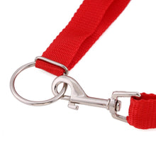 Instant Trainer Dog Leash Trains Dogs Stop Pulling 30 Lbs