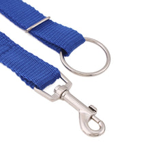 Instant Trainer Dog Leash Trains Dogs Stop Pulling 30 Lbs