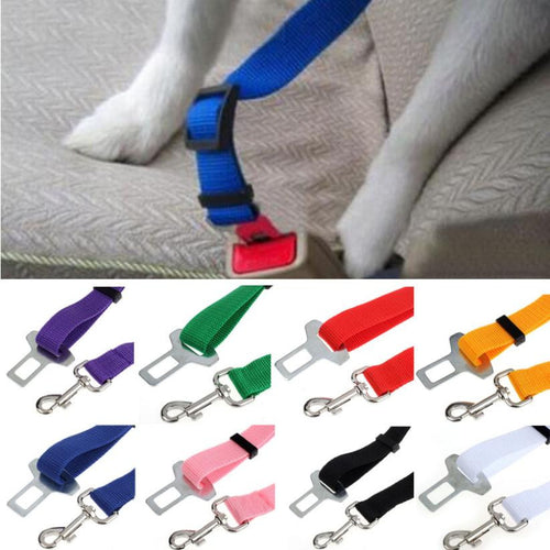 Pet Cat Dog Safety Seat Belt
