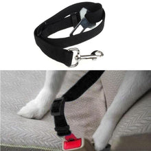 Pet Cat Dog Safety Seat Belt
