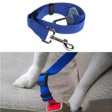 Pet Cat Dog Safety Seat Belt