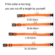 Nylon LED Pet Dog Collar