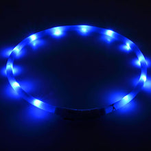 Luminous Led Light Outdoor Dog Collar with USB Charging
