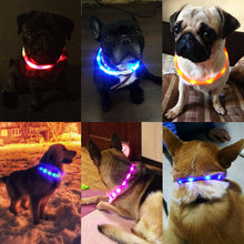 Luminous Led Light Outdoor Dog Collar with USB Charging