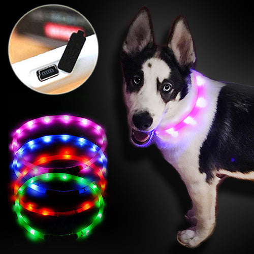 Luminous Led Light Outdoor Dog Collar with USB Charging