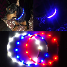 Luminous Led Light Outdoor Dog Collar with USB Charging