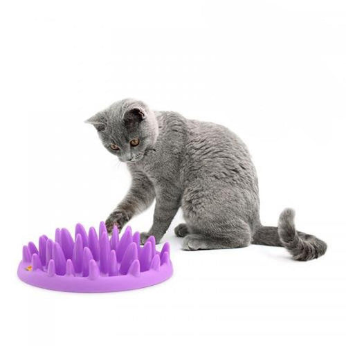 Cat Catch Interactive Hard Silicone Slow Food Feed