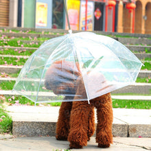 Transparent Waterproof Pet Umbrella Raincoat With Leash