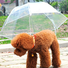 Transparent Waterproof Pet Umbrella Raincoat With Leash
