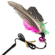 Pet Cat Toy Feather Teaser Plastic Wand Toy Teasers With Bell For Cat Play Fun