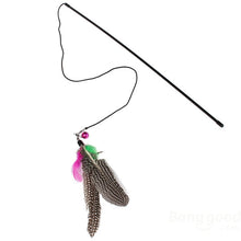 Pet Cat Toy Feather Teaser Plastic Wand Toy Teasers With Bell For Cat Play Fun