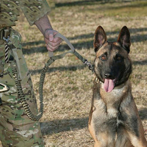 US Army Tactical Waterproof Dog Leash with Quick Release