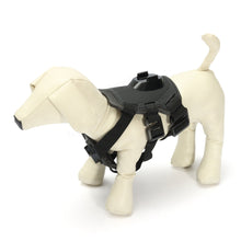 Pet Dog Harness Chest Belt Accessories Mount for Gopro Hero HD Action Camera