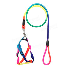Yani HG-PC2 Pet Dog Colorful Belt Leash Attractive Cool Nylon Collar Adjustable Dog Cat Belt