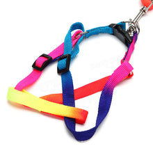 Yani HG-PC2 Pet Dog Colorful Belt Leash Attractive Cool Nylon Collar Adjustable Dog Cat Belt