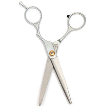 Professional Pet Hair Grooming Cutting Thinning Scissors Set