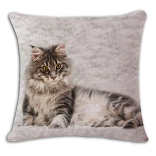 Cat Square Decorative Cotton / Linen Pillowcase 18x18 inches