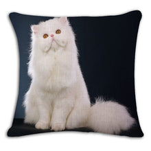 Cat Square Decorative Cotton / Linen Pillowcase 18x18 inches