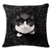 Cat Square Decorative Cotton / Linen Pillowcase 18x18 inches