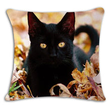 Cat Square Decorative Cotton / Linen Pillowcase 18x18 inches