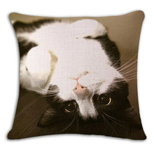 Cat Square Decorative Cotton / Linen Pillowcase 18x18 inches