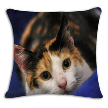 Cat Square Decorative Cotton / Linen Pillowcase 18x18 inches