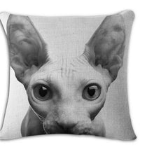 Cat Square Decorative Cotton / Linen Pillowcase 18x18 inches
