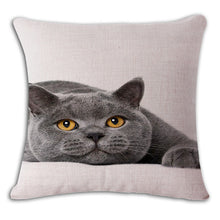 Cat Square Decorative Cotton / Linen Pillowcase 18x18 inches