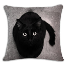 Cat Square Decorative Cotton / Linen Pillowcase 18x18 inches