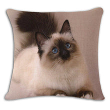 Cat Square Decorative Cotton / Linen Pillowcase 18x18 inches