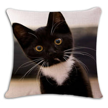 Cat Square Decorative Cotton / Linen Pillowcase 18x18 inches