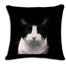 Cat Square Decorative Cotton / Linen Pillowcase 18x18 inches